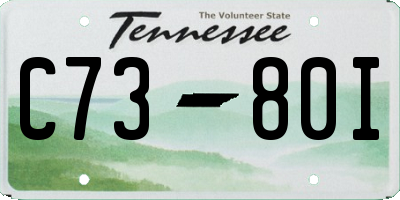TN license plate C7380I