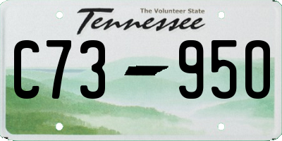 TN license plate C7395O