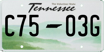 TN license plate C7503G