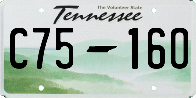 TN license plate C7516O