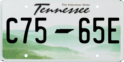 TN license plate C7565E