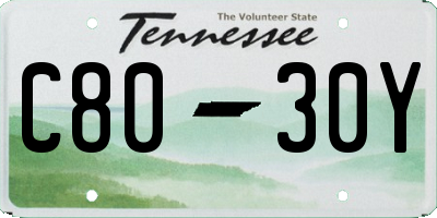 TN license plate C8030Y