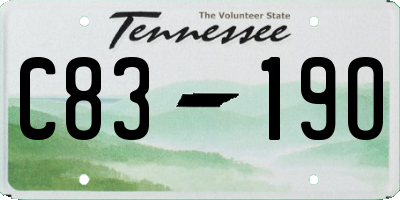 TN license plate C8319O