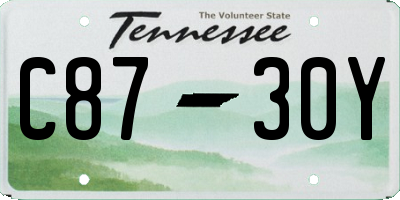 TN license plate C8730Y