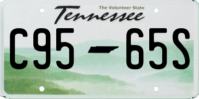 TN license plate C9565S