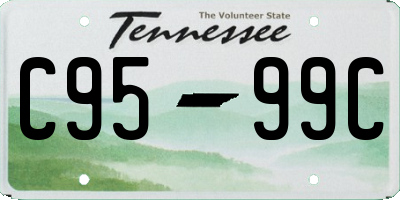 TN license plate C9599C