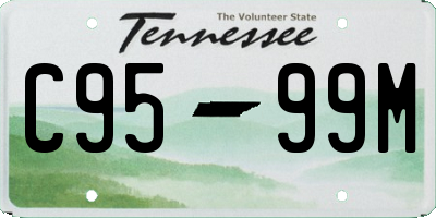 TN license plate C9599M