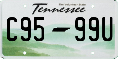 TN license plate C9599U