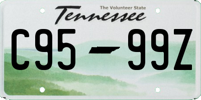TN license plate C9599Z