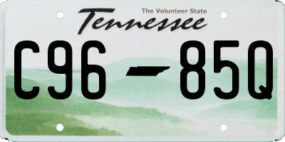 TN license plate C9685Q