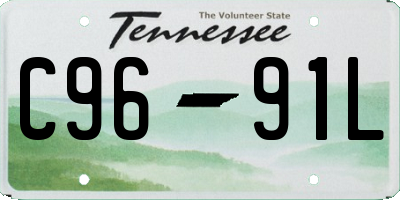 TN license plate C9691L