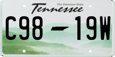TN license plate C9819W