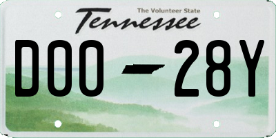 TN license plate D0028Y