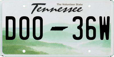 TN license plate D0036W