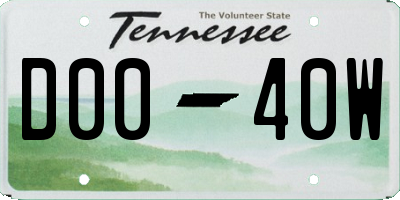 TN license plate D0040W