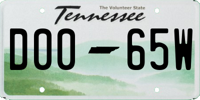 TN license plate D0065W