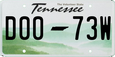 TN license plate D0073W