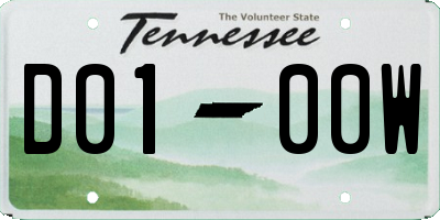 TN license plate D0100W