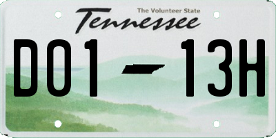TN license plate D0113H