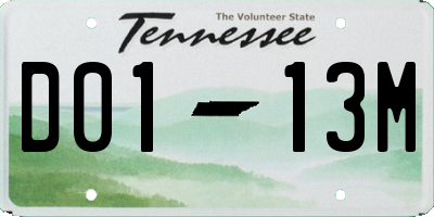 TN license plate D0113M