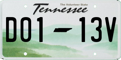 TN license plate D0113V