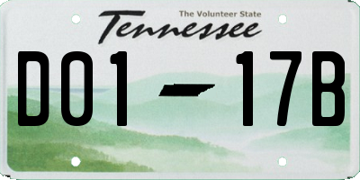 TN license plate D0117B