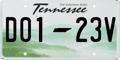 TN license plate D0123V