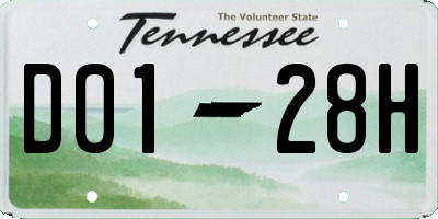 TN license plate D0128H