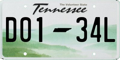 TN license plate D0134L