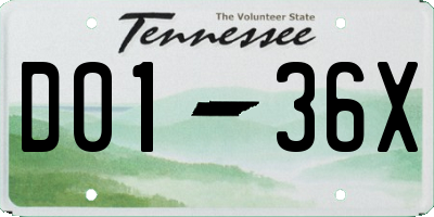 TN license plate D0136X