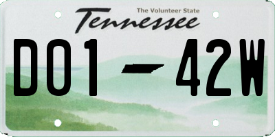 TN license plate D0142W