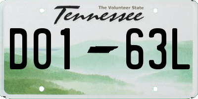 TN license plate D0163L