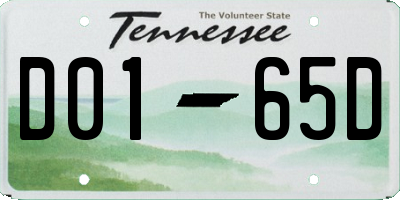 TN license plate D0165D