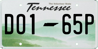 TN license plate D0165P