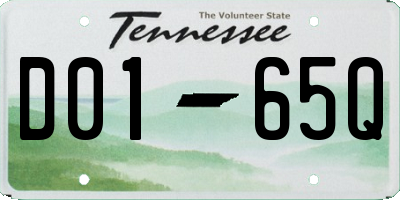 TN license plate D0165Q