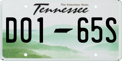 TN license plate D0165S