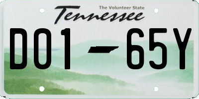 TN license plate D0165Y