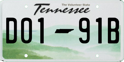 TN license plate D0191B