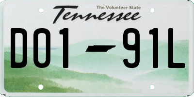 TN license plate D0191L