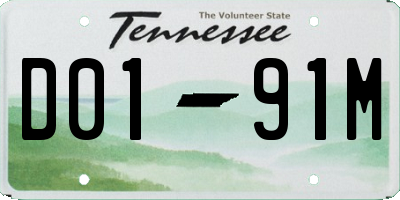 TN license plate D0191M