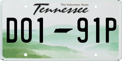 TN license plate D0191P