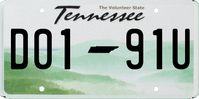 TN license plate D0191U