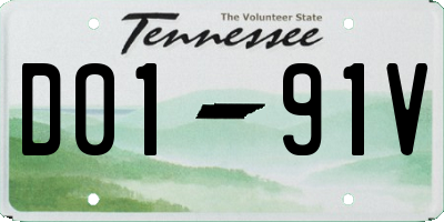 TN license plate D0191V