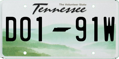 TN license plate D0191W
