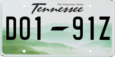 TN license plate D0191Z