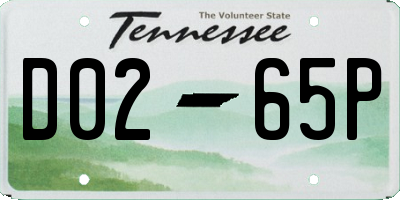 TN license plate D0265P