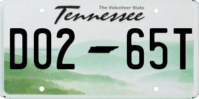 TN license plate D0265T