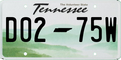 TN license plate D0275W