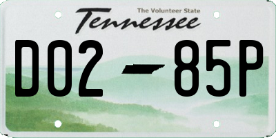 TN license plate D0285P