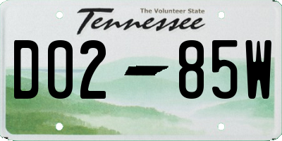TN license plate D0285W
